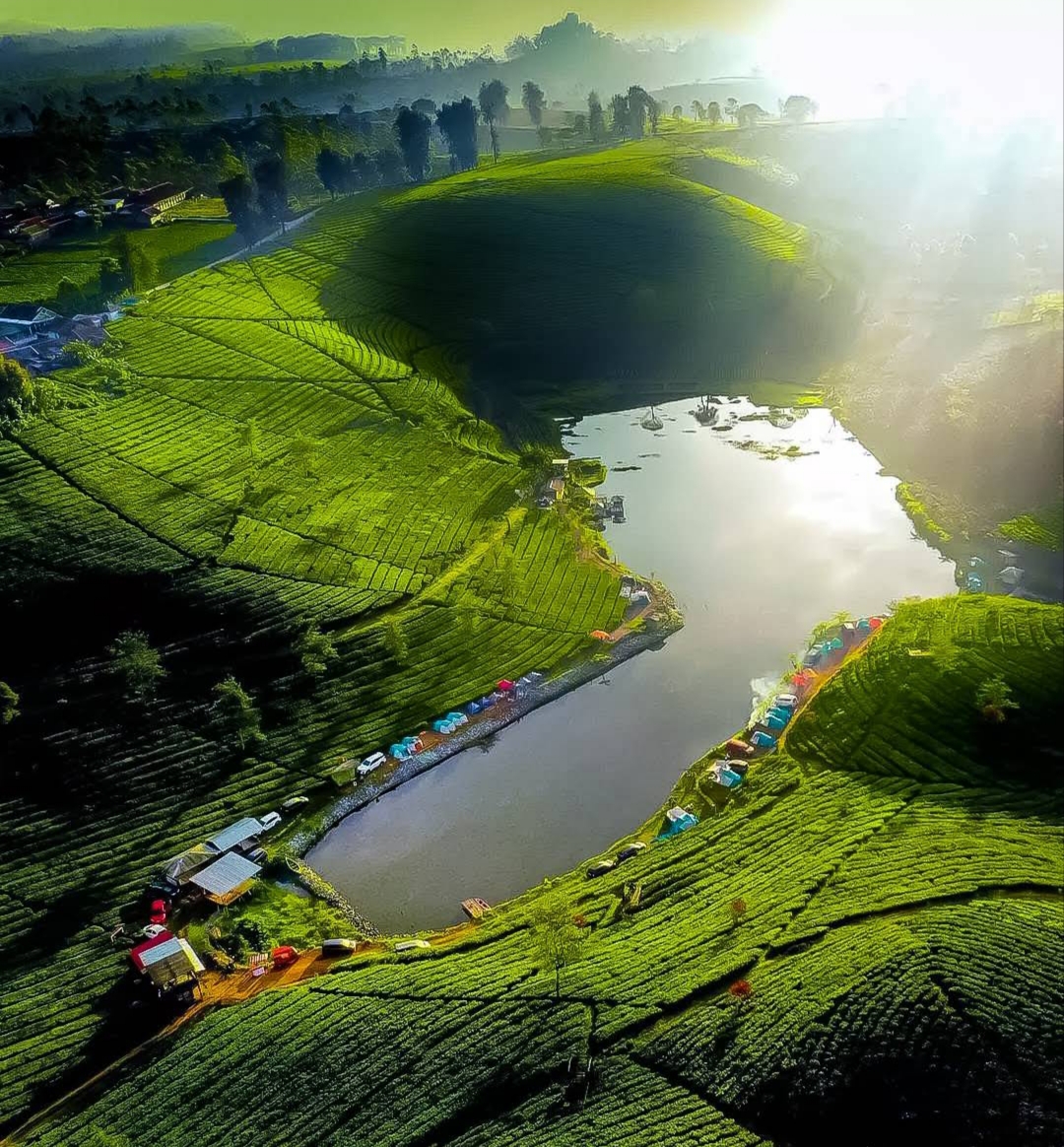 Foto drone kebun teh Pangalengan dan tenda camping